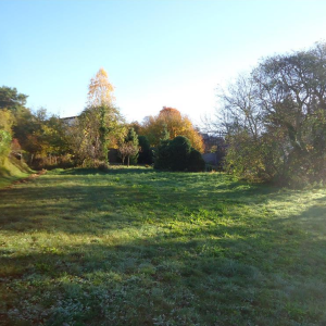 Terrain Avant